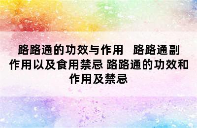 路路通的功效与作用   路路通副作用以及食用禁忌 路路通的功效和作用及禁忌